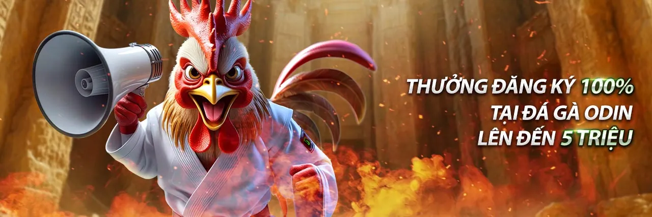 Cá cược thể thao Sbobet APK 2026